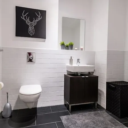 Schwarzwald Loft Appartement Baden-Baden